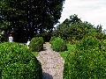 gal/holiday/Yeovil Area 2007 - Tintihull Gardens/_thb_Tintinhull_Gardens_IMG_7587.jpg